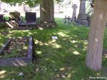 67-moorgate-cemetery-rotherham-2nd-new-b-52-24-06-09-1