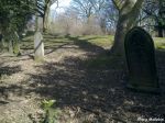 70-moorgate-cemetery-rotherham-old-t-25-19-03-10-1