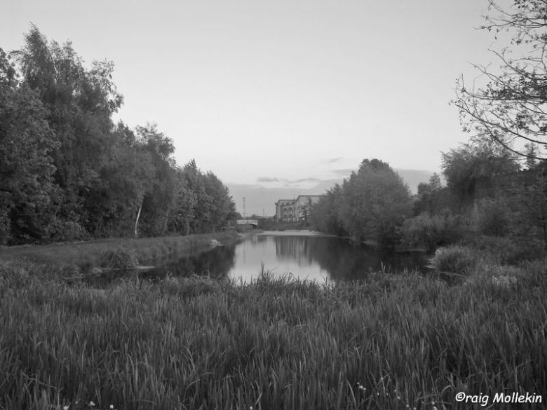 Dearne and Dove Canal, Swinton