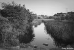 Dearne &amp; Dove Canal, Swinton - 12.10.95 (b&amp;w)