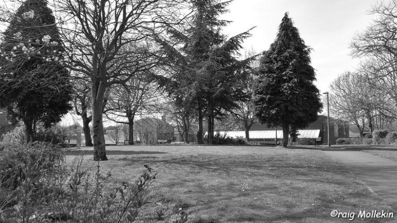 Harrop Gardens, Swinton - 21.04.16 (2)