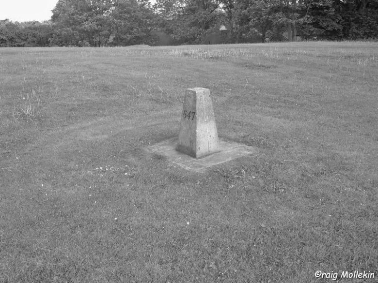 Swinton Common Colliery (site of) - 12.05.11 (33)