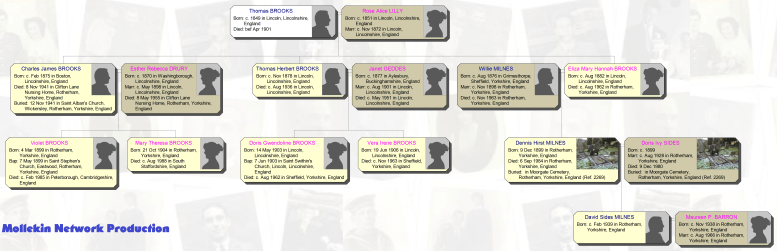 Truncated Brooks Family Tree
